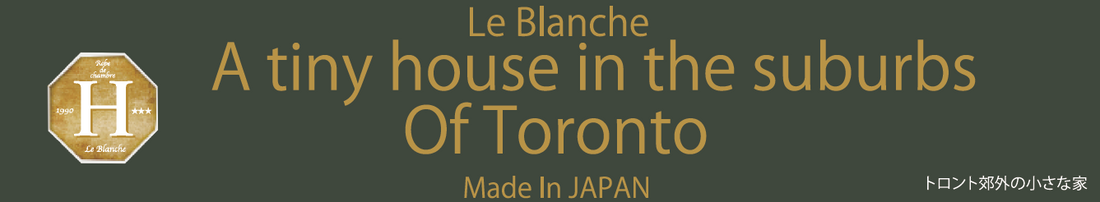 トロント郊外の小さな家